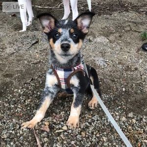 Meet your Posher, Kelsey